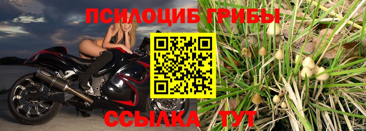 Псилоцибиновые грибы ЛСД  Вход с VPN  Гуково  Галлюциногенные грибы MAGIC MUSHROOMS 